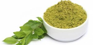 فروش انواع گیاه حنا