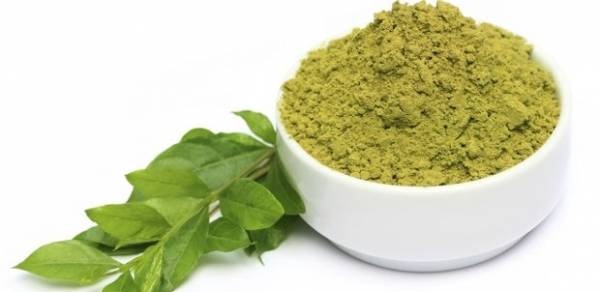 فروش انواع گیاه حنا