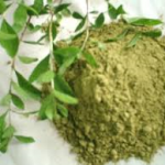 گیاه دارویی حنا