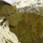 قیمت فروش گیاه حنا