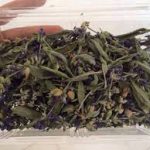 نمایندگی گیاه حنا