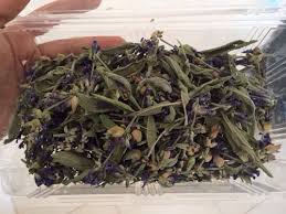 نمایندگی گیاه حنا