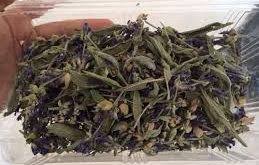 نمایندگی گیاه حنا مرغوب