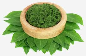 گیاه حنا هندی