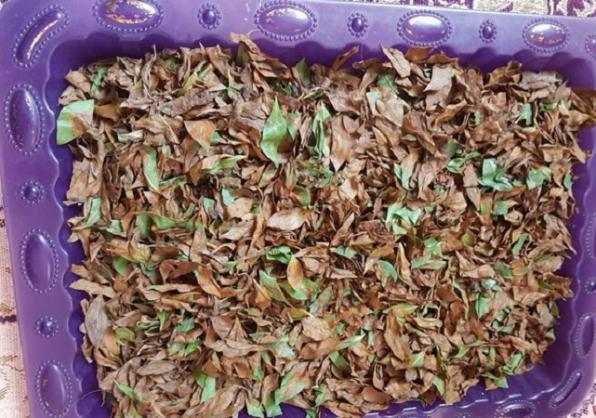 پودر حنا سیاه چیست؟