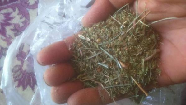 شیوه تهیه پودر سدر بسته 100 گرمی