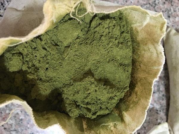 پخش کننده بهترین حنا کیسه تازه