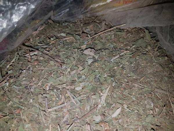 فروشندگان معتبر پودر حنا سیاه